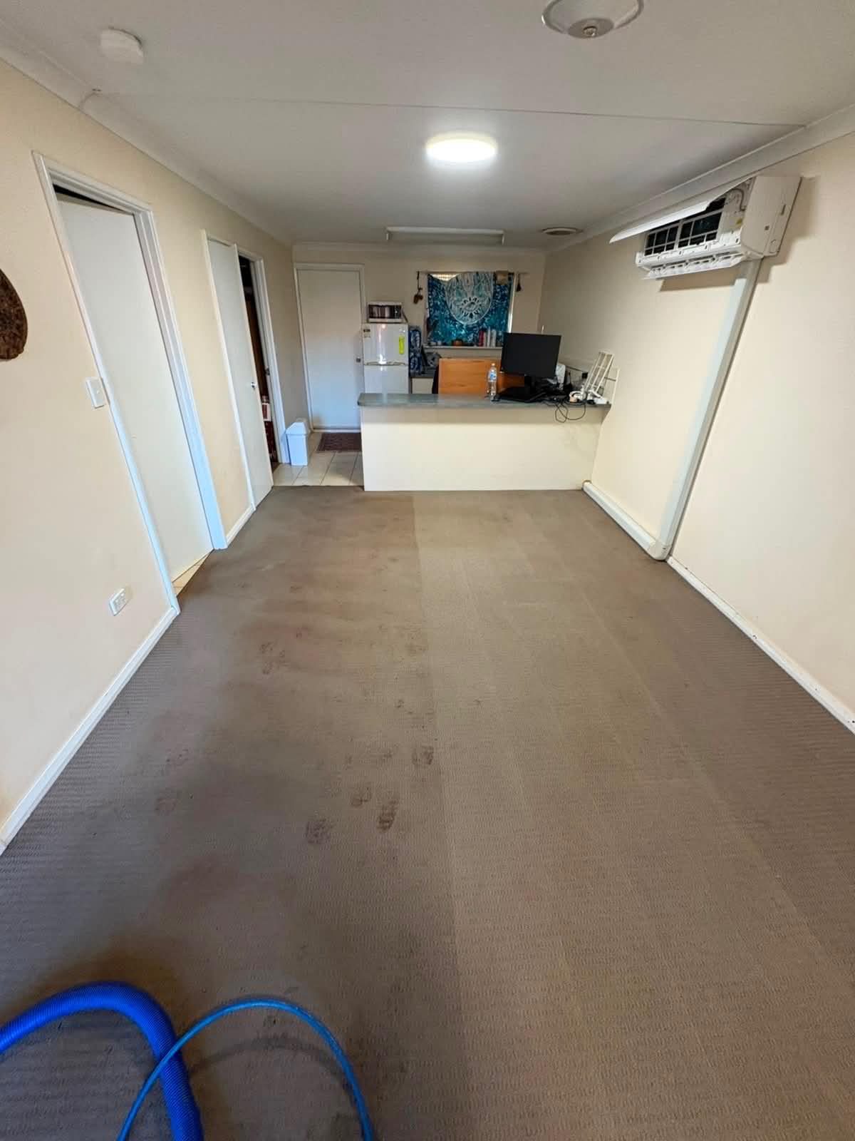 Stained and marked carpet through a Newman home before steam cleaning