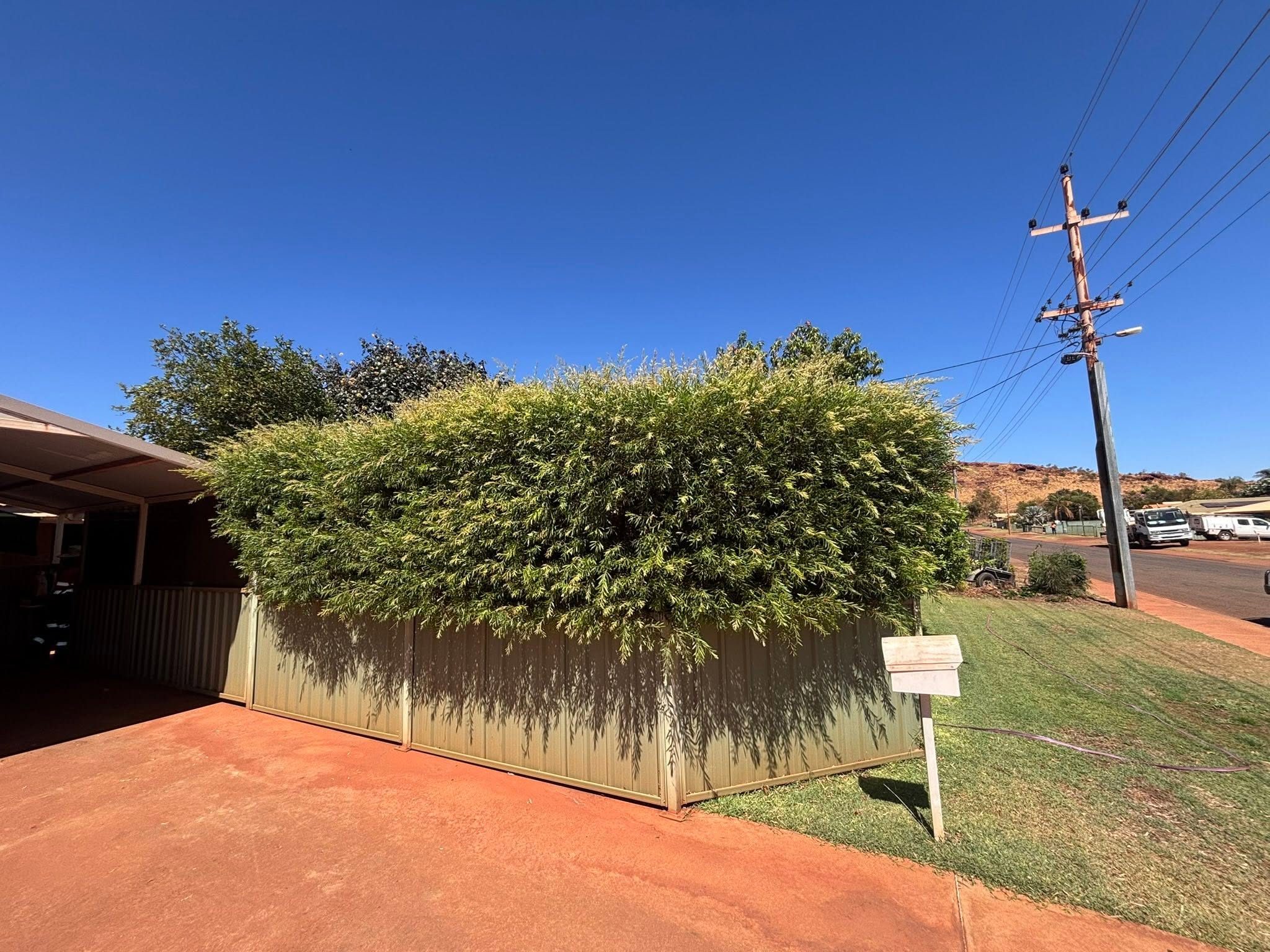 Neatly trimmed hedge and tidy yard in Newman, Western Australia